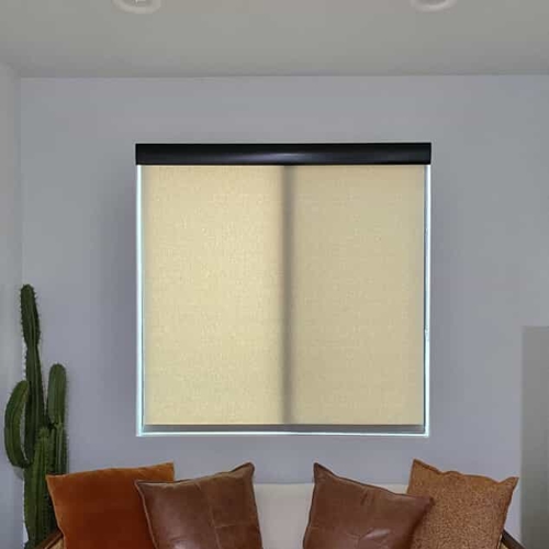 Interior Shades
